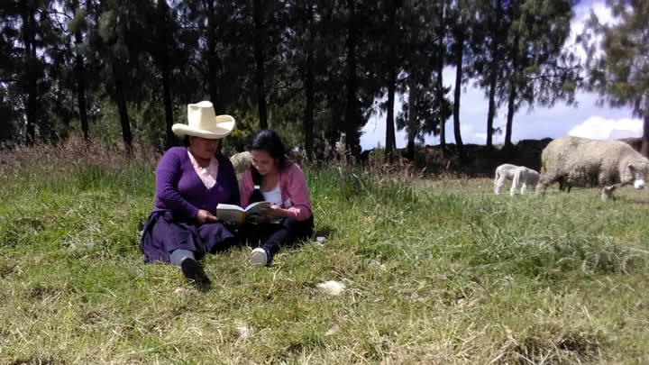 La libertad de leer: clave para formar auténticos lectores
