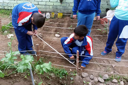 El biohuerto: un espacio mágico para aprender matemáticas
