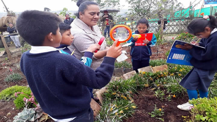 Mi comunidad, un escenario para indagar