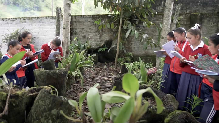 RECUNSA: una estrategia para desarrollar el aprendizaje autónomo