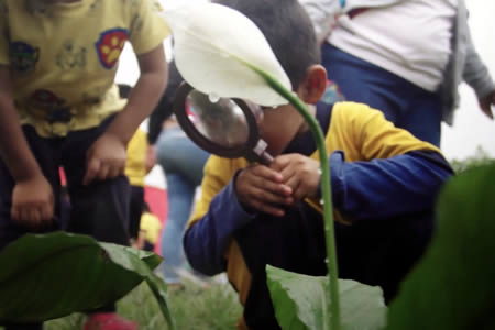 Laboratorio vivo para el aprendizaje: un actuar dinámico y contacto respetuoso con el ambiente