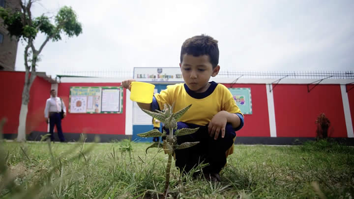 Laboratorio vivo para el aprendizaje: un actuar dinámico y contacto respetuoso con el ambiente