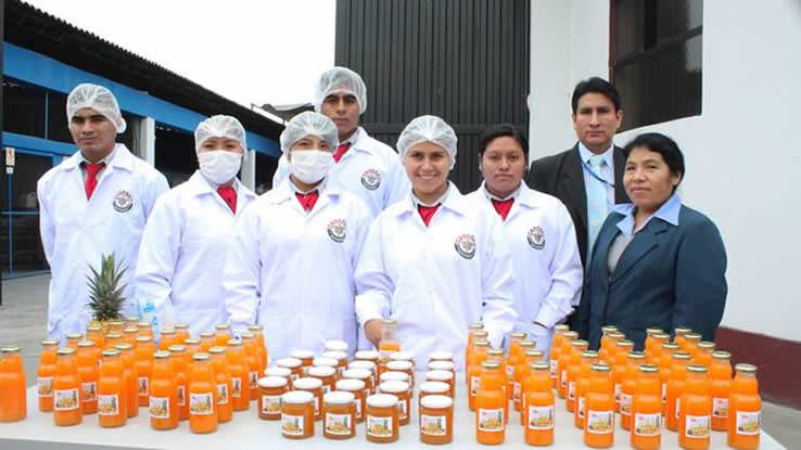 Planificación, ejecución y evaluación de proyectos pedagógicos productivos