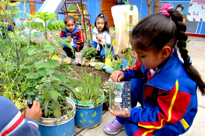 Investigación Acción Participativa en Educación